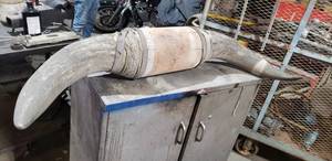 lot 302 image: Massive African Bull Horns, These are HUGE