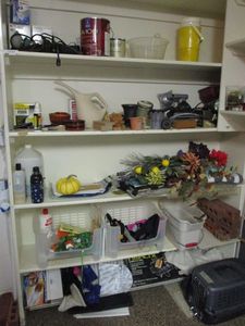 lot 10 image: ENTIRE CONTENTS OF SHELVING, PAINTS, FLOOD LIGHTS, THERMOS, PET SUPPLIES, COLLAR &amp HARNESS &amp MUCH MORE