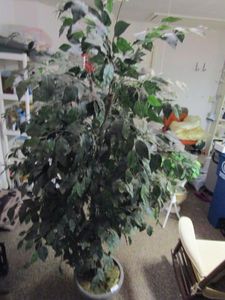 lot 103 image: LARGE POTTED INDOOR FAUX TREE