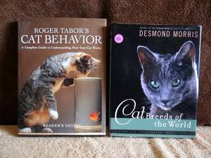 lot 78 image: LOT OF CAT RELATED THEME HARDBACK BOOKS