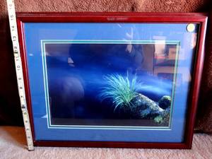 lot 124 image: BEAUTIFUL DOUBLE MATTED UNDERWATER PLANT PRINT - FRAMED UNDER GLASS