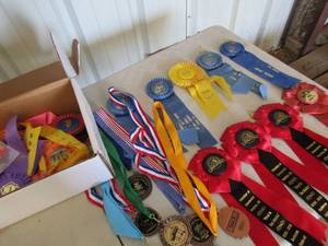 lot 29 image: Box of BBG Cook-off Award ribbons