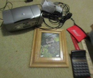 lot 237 image: Raccoon art and HP mini print computer cards