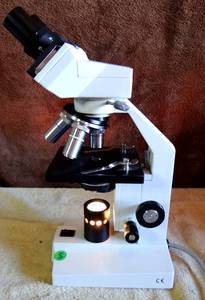 lot 168 image: AmScope Lighted Upright Compound Microscope - TESTEDWORKS