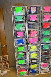 lot 101 image: Elfa Basket Storage Racks, 2 Racks each holds 10 Baskets CONTENTS SOLD SEPARATELY