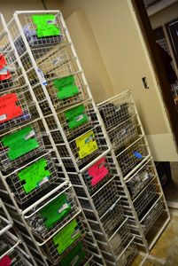lot 573 image: Elfa Basket Storage Racks, 2 Racks one holds 10 Baskets, Wider one holds 6 CONTENTS SOLD SEPARATELY