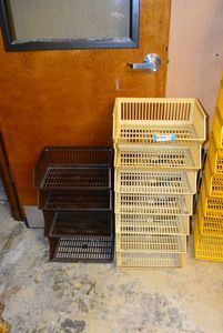 lot 816 image: Plastic Stackable Bins as shown