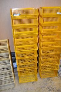 lot 817 image: Plastic Stackable Bins as shown