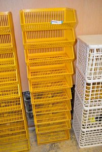 lot 818 image: Plastic Stackable Bins as shown