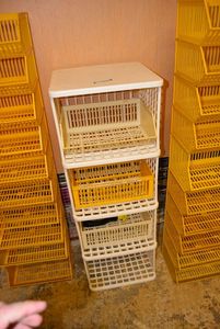 lot 819 image: Plastic Stackable Bins as shown
