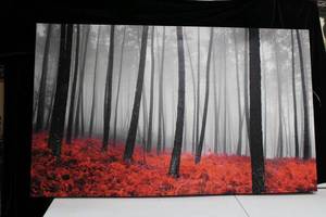 lot 82 image: Wall Art Large Stretched Canvas Print of Foggy Forest with Red Foliage 5 Ft. x 3 Ft. 1