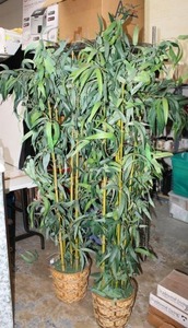 lot 40 image: Pair of Artificial Bamboo Plants 6 Ft. Tall,