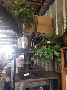 lot 224 image: Selection of artificial plants