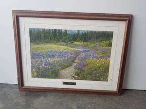 lot 147 image: Framed print - Wildflower Passage - 24 by 32