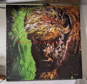 lot 76 image: Splash Animals Art on Canvas.  Featuring the American Bison, 20 x 20