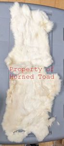 lot 140 image: Rabbit Belts each Approximately 14 Long