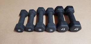 lot 131 image: 6 Piece Neoprene Hex Dumbell Set - Set Includes Pair of 2 Lb, 3 Lb, and 4 Lb Dumbells