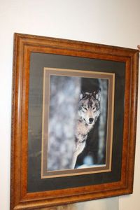 lot 533 image: Wolf Photo Framed and Matted