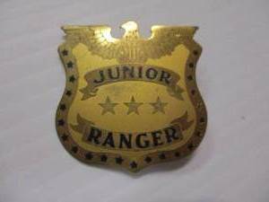 lot 75 image: Vintage Junior Ranger Pinback Metal Badge