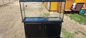 lot 61 image: large fish tank with stand 48x25x13&nbsp