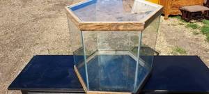 lot 60 image: Octagonal fishreptile tank