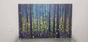 lot 70 image: 40 x 26 iCanvas Fireflies Canvas Print