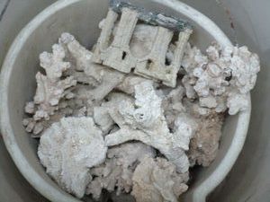 lot 78 image: LARGE BUCKET OF CORAL