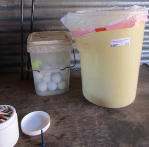 lot 182 image: Bucket full of golf balls and a Wilson golf bag