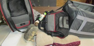 lot 173 image: Dog lot- 3 travel carry bags, pillow bed, leash and life jackets