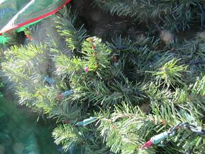 lot 176 image: Prelit 6 foot green christmas tree  in green bag