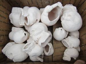 lot 262 image: Box of ceramic skulls some damaged