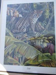 lot 368 image: Art by Richard Evors Younger 1974 Ocelot