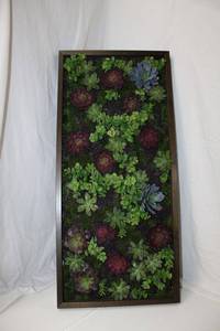 lot 69 image: Artificial Succulent Framed Plant Arrangement 17 x 37 x 2