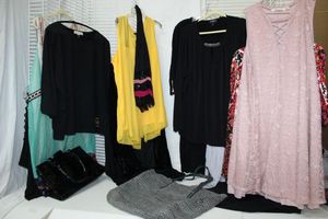 lot 169 image: Womens Clothes Size 3X Sweaters and Tops, PLUS Liz Claiborne Bag