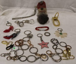 lot 376 image: Novelty and functional Keychain assortment. Also includes caribiners and purse fasteners, Campbell Soup fabric keychain plus