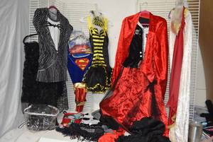 lot 480 image: Halloween Costumes see pictures