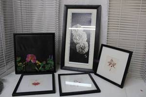 lot 522 image: Flowers Wall Art Framed Photo is signed by artist