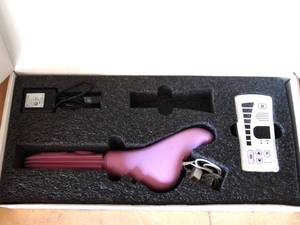 lot 160 image: IN TONE Pelvic Floor Muscle Training and the In Tone Device