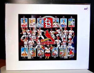 lot 208 image: ST LOUIS CARDINALS 11 X 14 MATTED WALL DISPLAY - READY TO FRAME $$