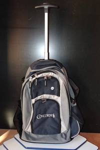 lot 234 image: CONCORDE ROLLING PACK PACK WITH SHOULDER STRAPS