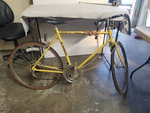 lot 72 image: Vintage Free Spirit 10 speed bike