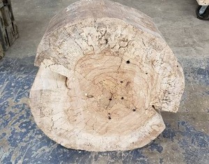 lot 50 image: Wood Slab - 24 Diameter, 10 Deep