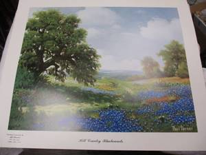lot 105 image: HILL COUNTRY BLUEBONNETS -PRINT BY, PAUL TURNER - 19 12 X 23 12-Unframed