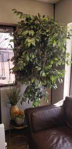 lot 232 image: Lot of 3 Fake Plants with Table