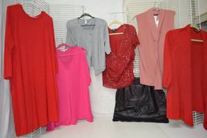 lot 283 image: Womens Clothes  Size 2X - Tops and Sweaters Plus Leather Skirt size 14