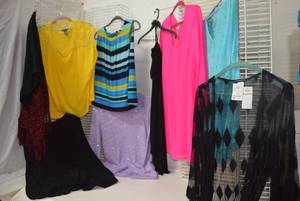 lot 286 image: Womens Clothes  Size 2X - Tops, Cardigans, and Dresses