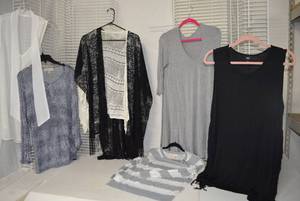 lot 228 image: Womens Clothes  Size L - Tops and Sweaters