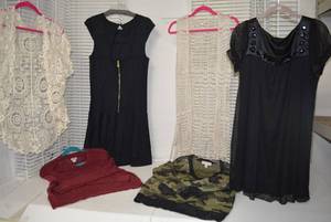 lot 229 image: Womens Clothes  Size L - Tops and Dresses