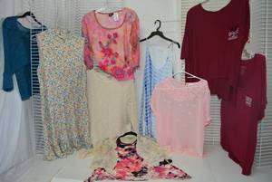 lot 238 image: Womens Clothes  Size L - Spring Tops, Sweaters