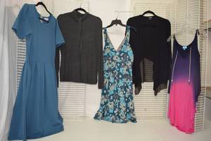 lot 257 image: Womens Clothes  Size XL - Dresses and Tops